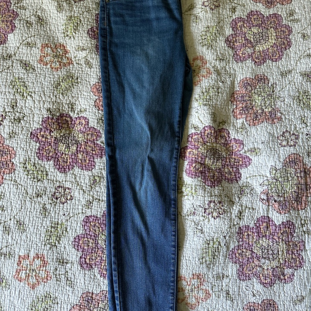 Everlane Blue Skinny Jeans Classic Fit